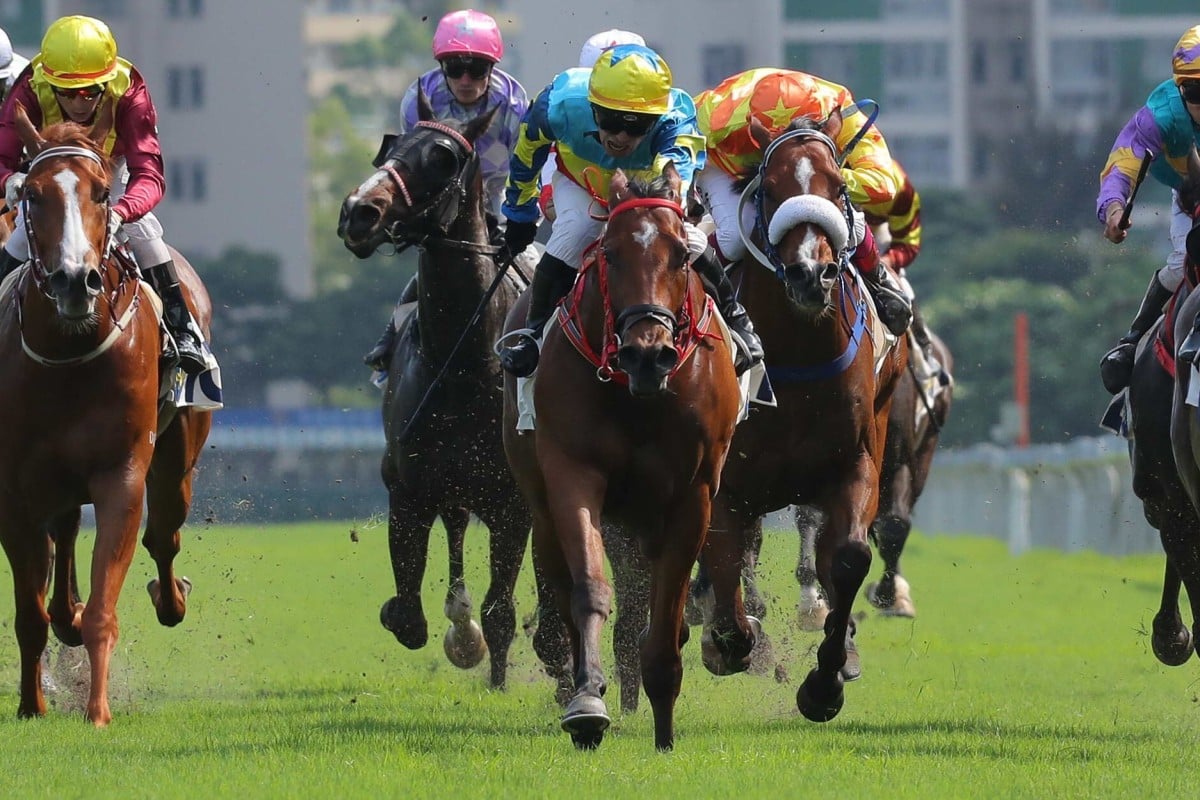 Ben So pilots Good View Clarico to victory at Sha Tin on Sunday. Photos: Kenneth Chan