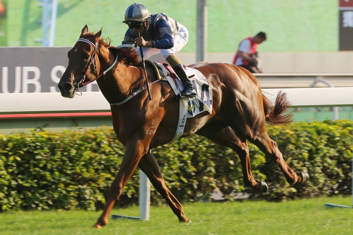 Aethero storms to victory at Sha Tin. Photos: Kenneth Chan