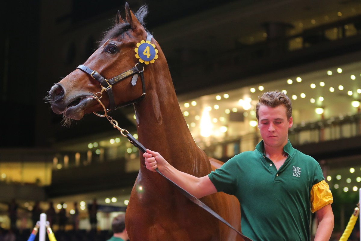 A horse goes under the hammer at the Hong Kong International Sale in 2019. Photos: Kenneth Chan