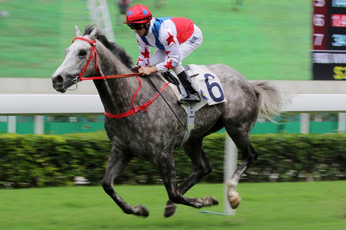 Big Party wins comfortably at Sha Tin. Photos: Kenneth Chan