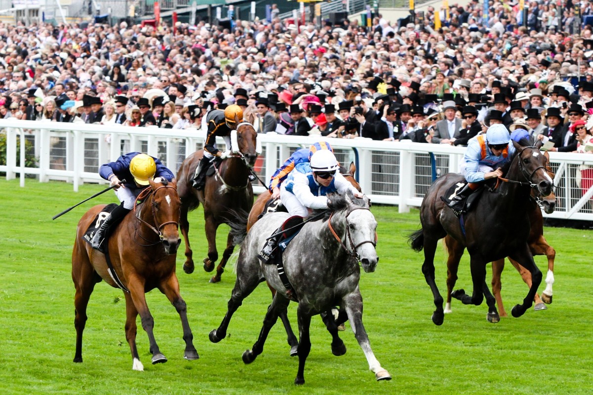 Solow (Maxime Guyon) wins the Queen Anne Stakes at Royal Ascot in 2015, with Hong Kong runner Able Friend (Joao Moreira) a distant sixth. Photo: Liesl King