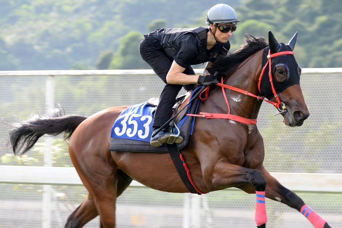 Hongkong Great gallops at Sha Tin on Thursday morning under jockey Blake Shinn. Photos: Kenneth Chan
