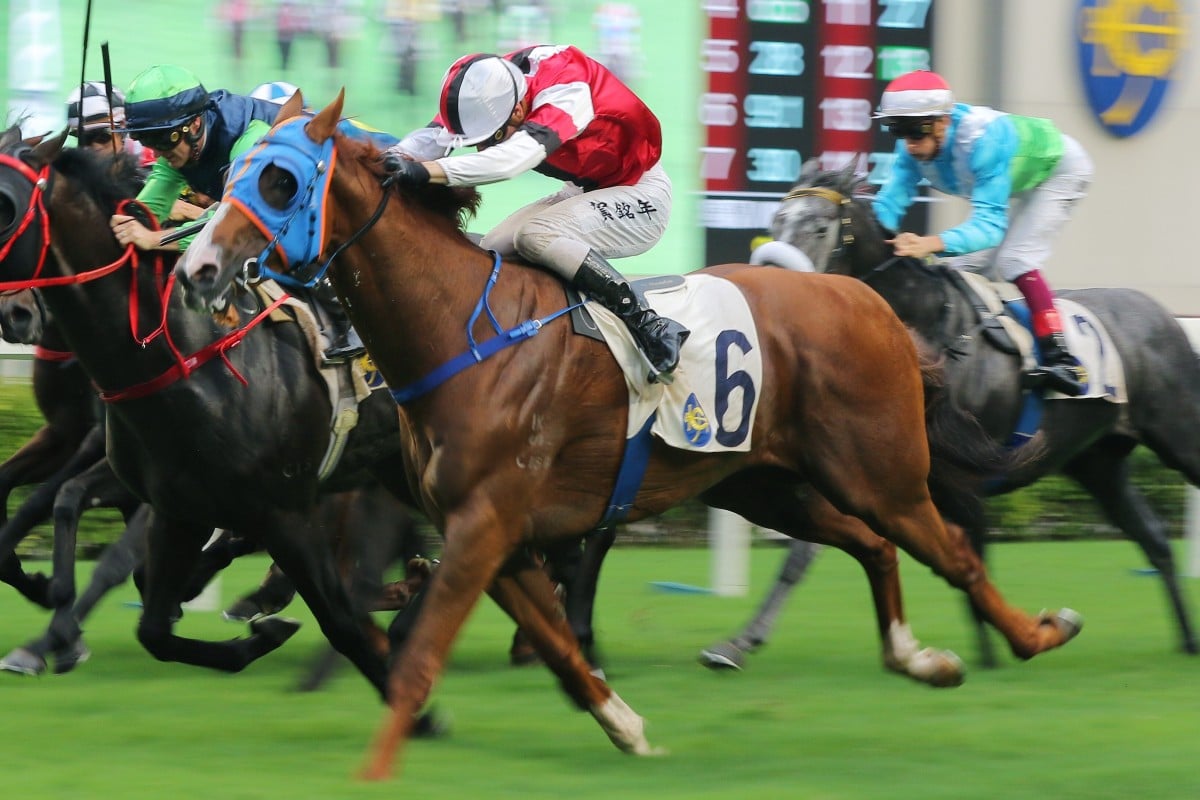 Assimilate salutes at Sha Tin last month. Photos: Kenneth Chan