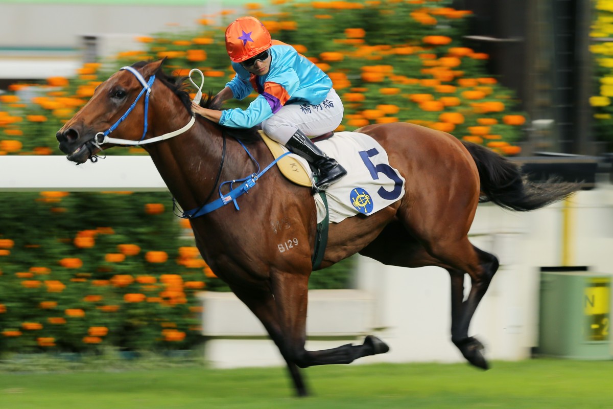 Dances With Dragon bolts in under Keith Yeung at Sha Tin on Sunday. Photos: Kenneth Chan