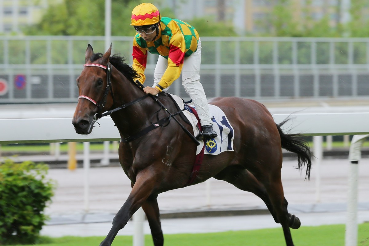 Mighty Valor trots in comfortably earlier this month at Sha Tin. Photos: Kenneth Chan