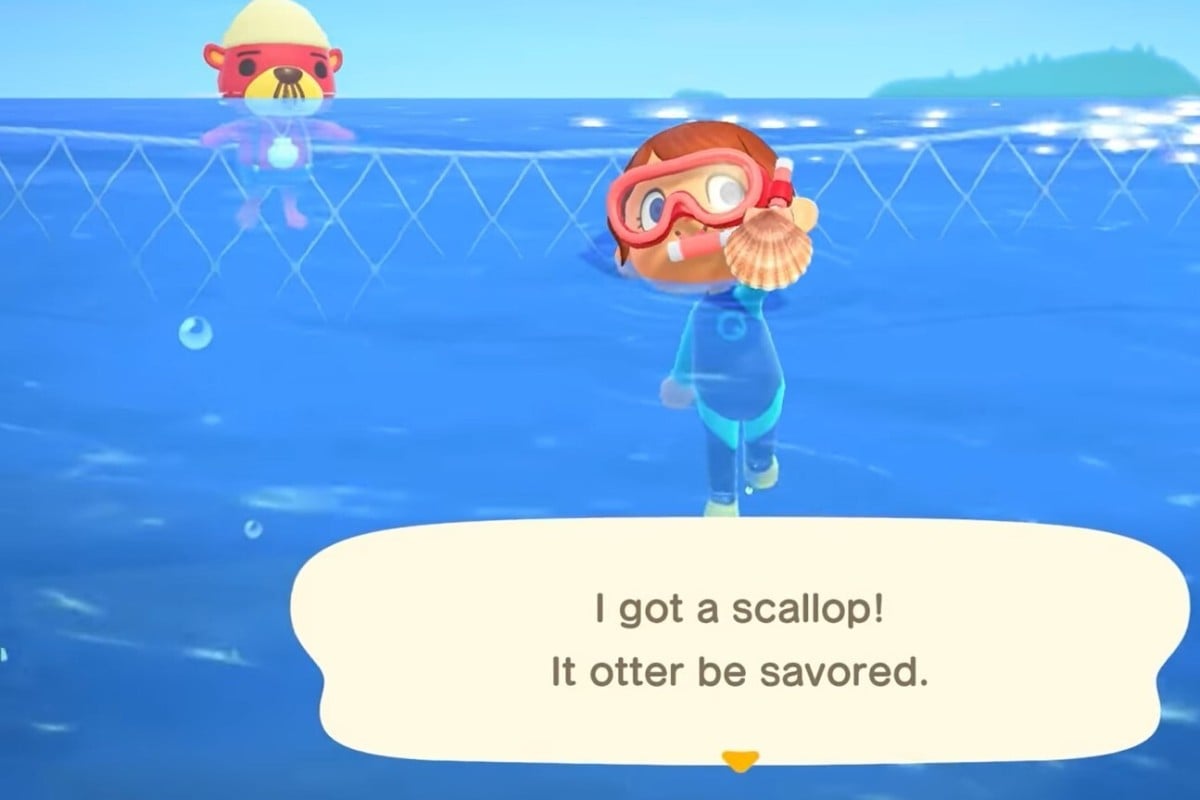 Scallop Times and How To Catch  Animal Crossing: New Horizons