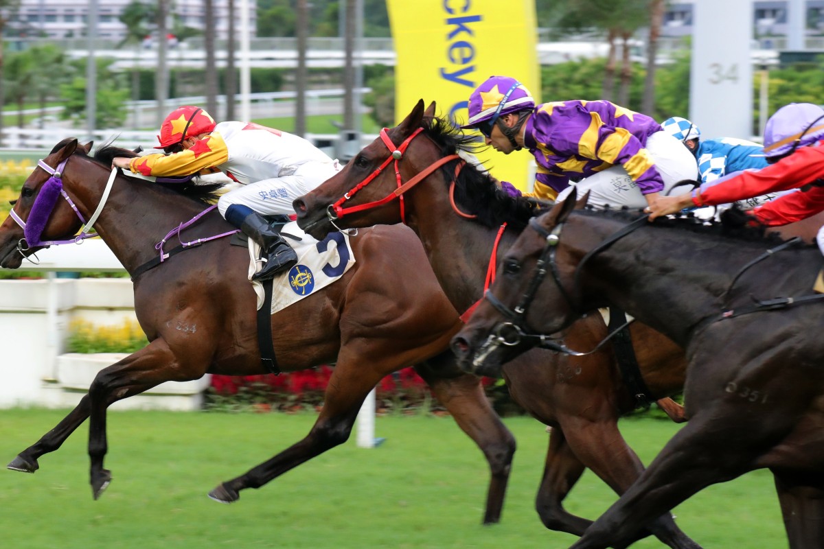 Lucky Express (middle) and Armando (right) finish behind Mr Croissant on debut. Photos: Kenneth Chan