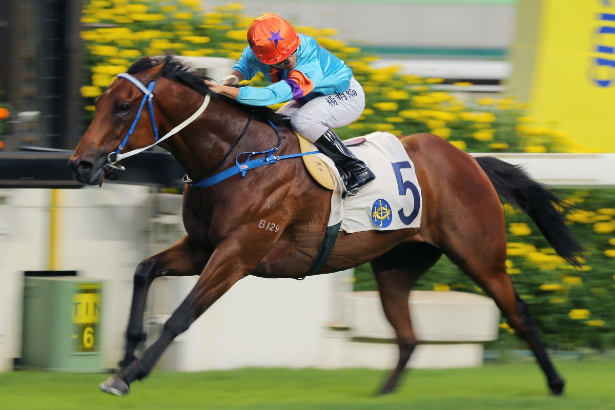 Dances With Dragon bolts clear in the Group Three Premier Plate (1,800m) at Sha Tin. Photo: Kenneth Chan