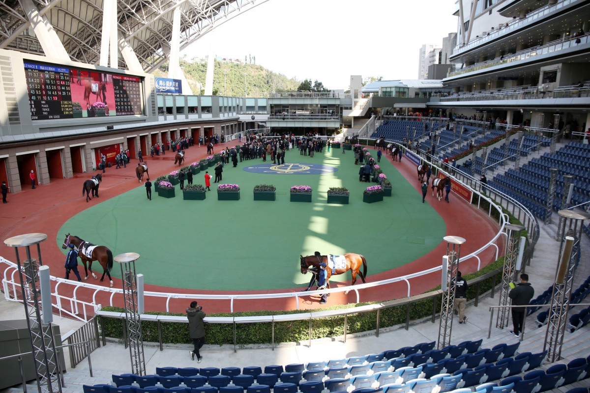 Horses parade at Sha Tin in the Covid-19 world without fans. Photo: Kenneth Chan