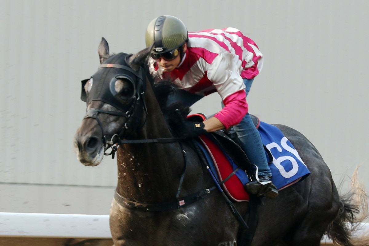 Enjoying trials at Sha Tin last week. Photos: Kenneth Chan