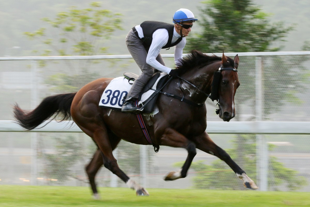 Beauty Generation works down the back straight at Sha Tin. Photos: Kenneth Chan