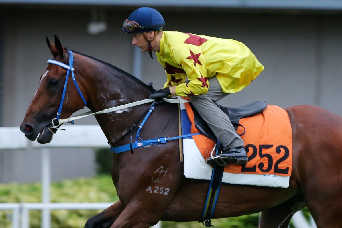 Blake Shinn heads out to trial Southern Legend on Tuesday morning. Photos: Kenneth Chan