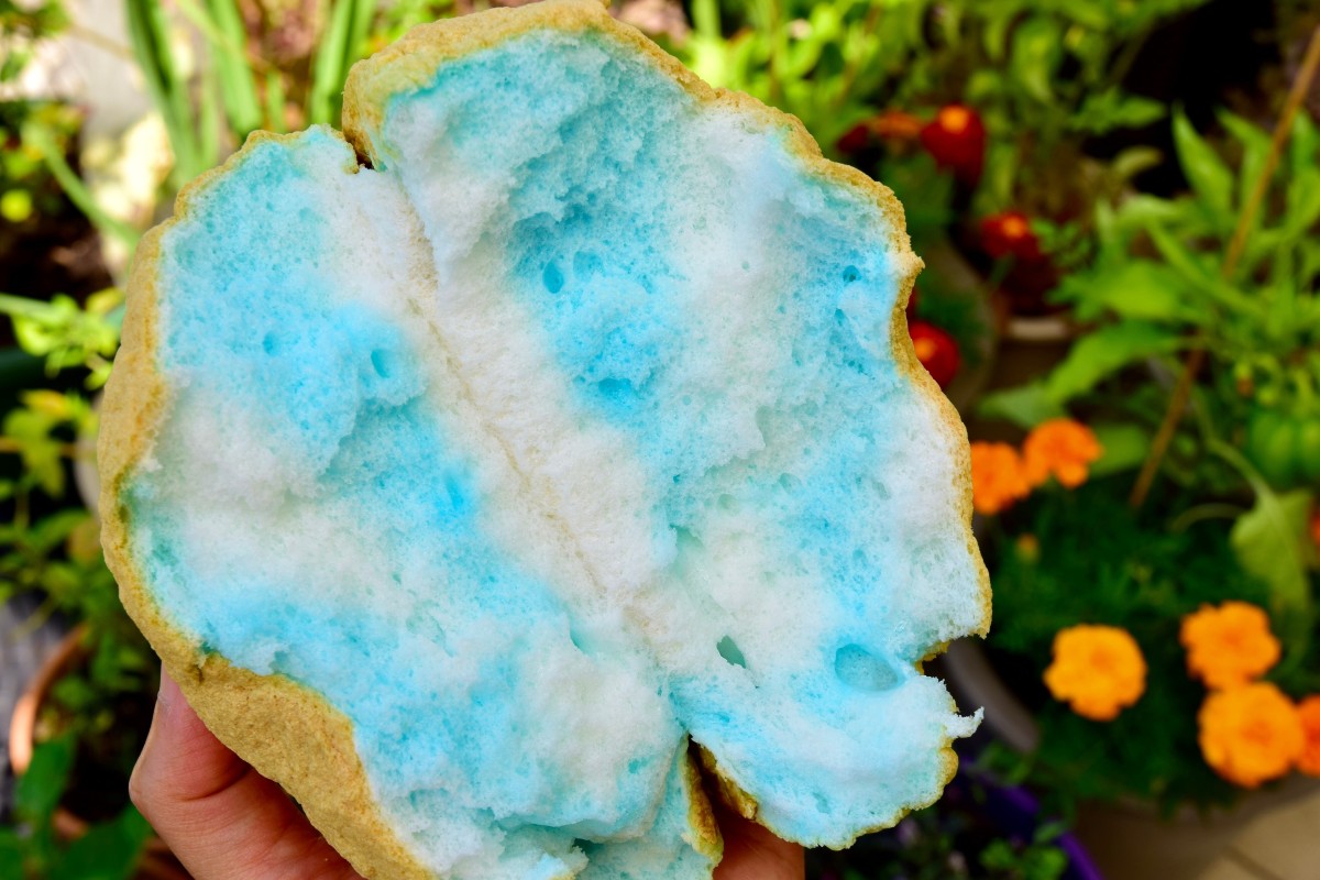 Bonus points if you can actually get these clouds in your cloud bread!
