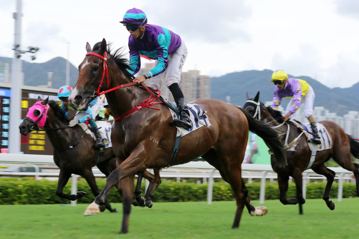 Winning Dreamer coasts to victory under Vincent Ho at Sha Tin last season. Photos: Kenneth Chan