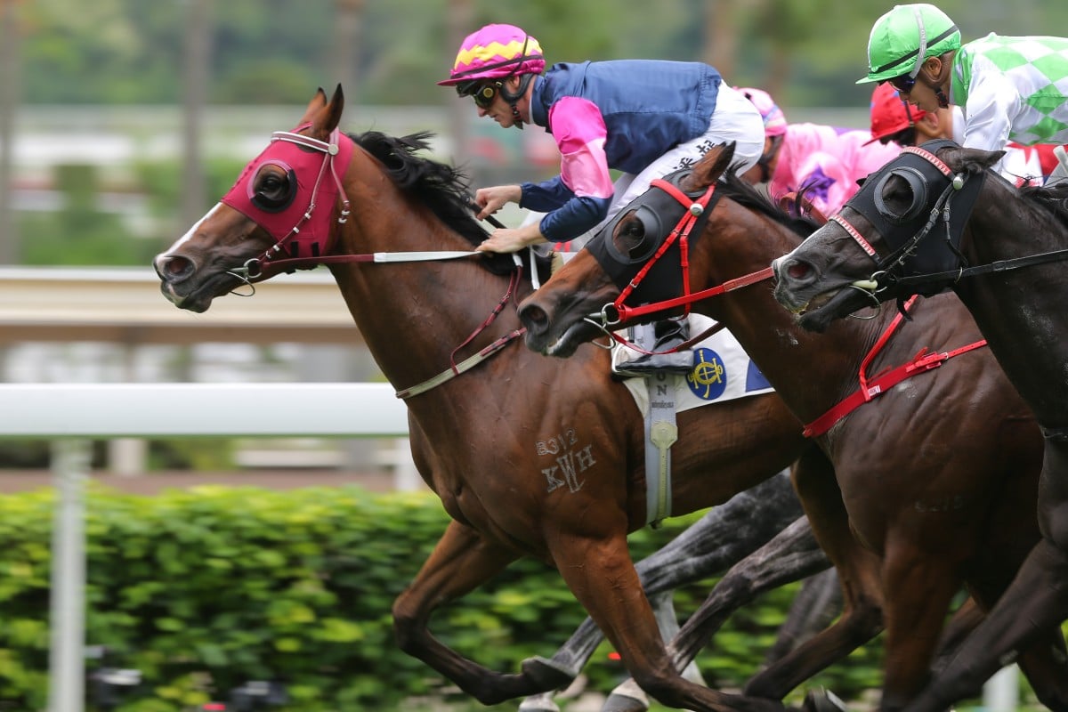 Zac Purton drives Thanks Forever to victory in the Group Three Sha Tin Vase. Photos: Kenneth Chan