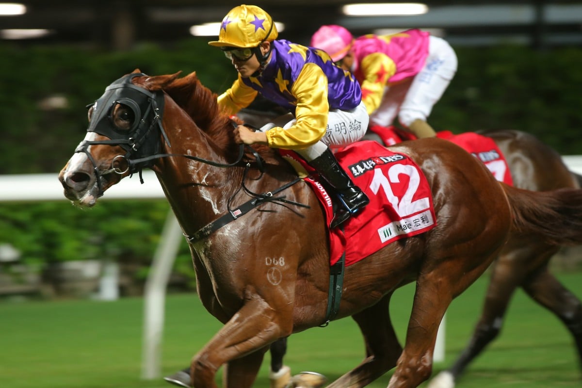 Amazing Kiwi storms to victory at Happy Valley on Wednesday night. Photos: Kenneth Chan