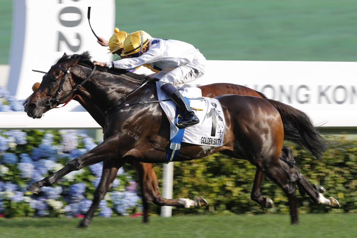 Vincent Go drives Golden Sixty to victory in the Hong Kong Derby. Photos: Kenneth Chan