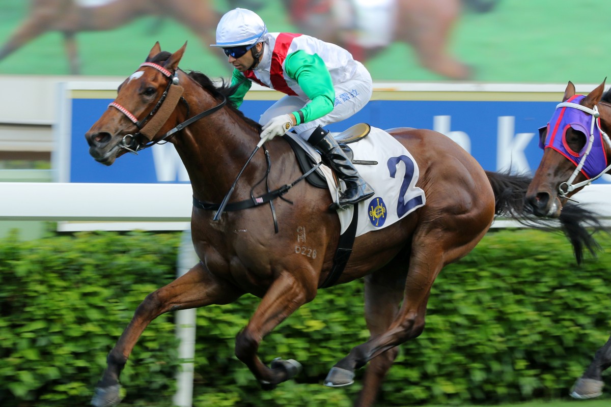 Joao Moreira rides Good Luck Friend to victory at Sha Tin last season. Photos: Kenneth Chan