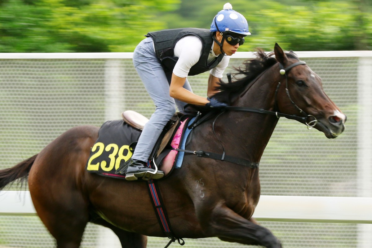 Vincent Ho gallops Golden Sixty down the Sha Tin back straight last week. Photos: Kenneth Chan