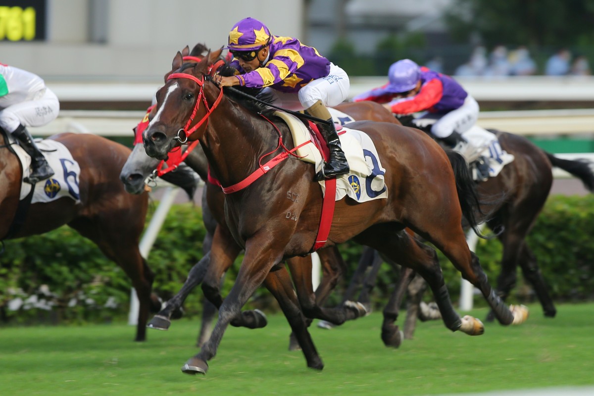Lucky Express coasts to victory at Sha Tin on Sunday. Photos: Kenneth Chan
