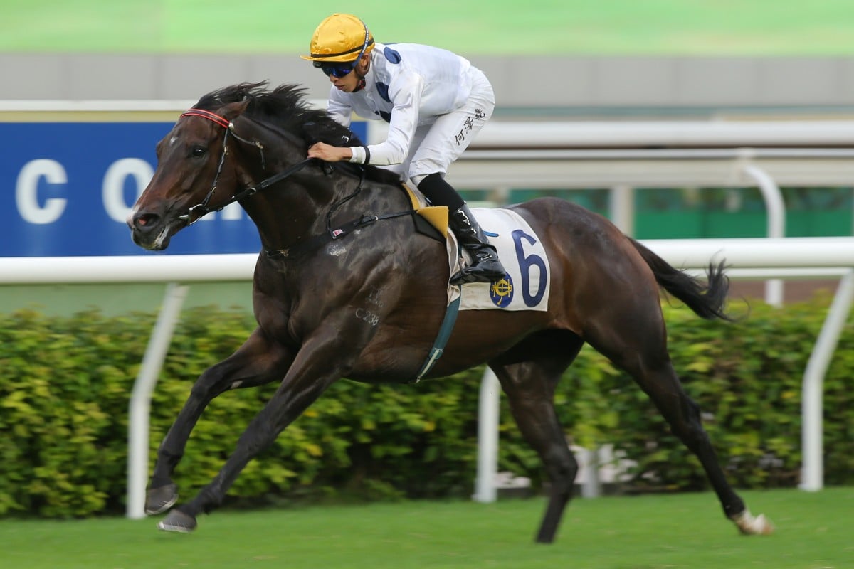 Vincent Ho wins on Golden Sixty at Sha Tin. Photos: Kenneth Chan
