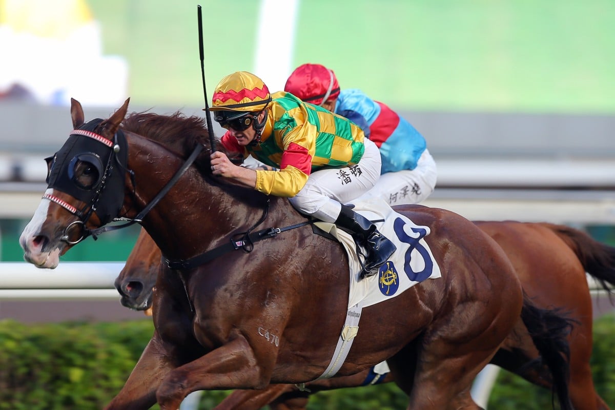 Mighty Giant dashes to victory at Sha Tin on Thursday. Photos: Kenneth Chan