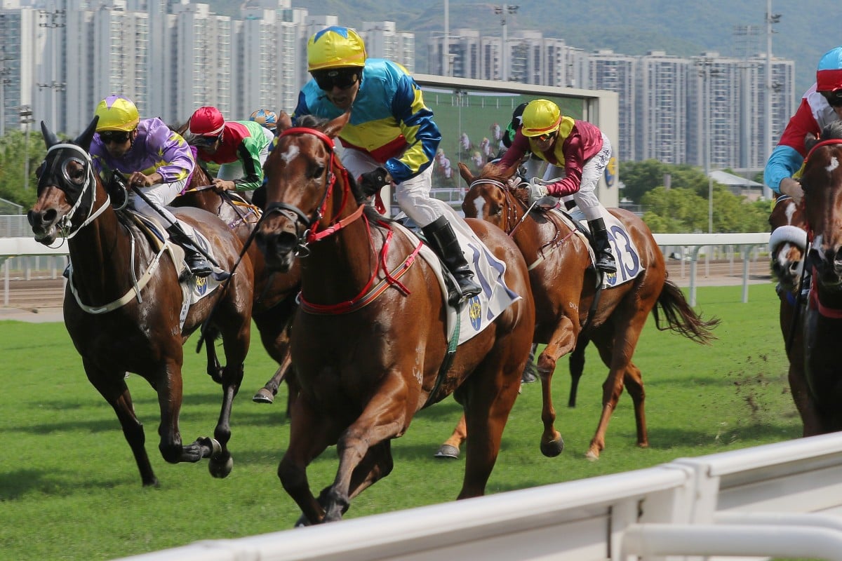 Good View Clarico wins under Ben So in May. Photos: Kenneth Chan