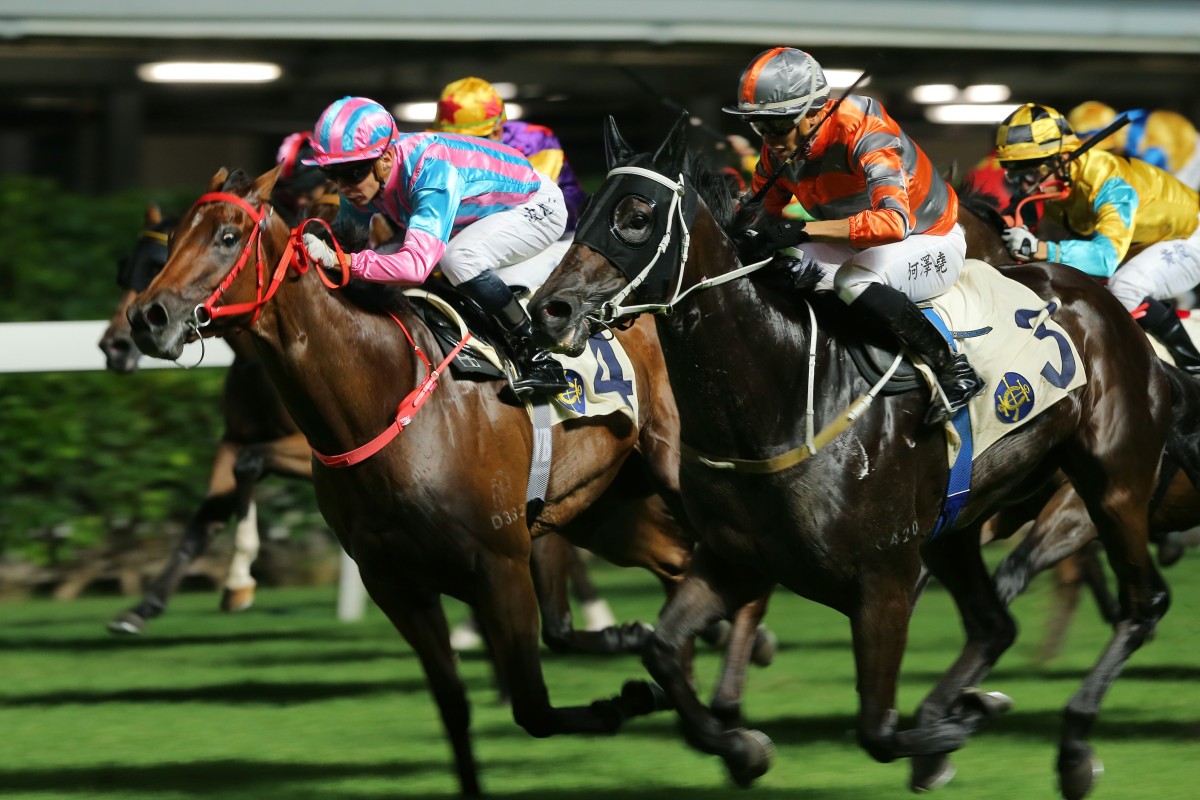 Sell My Sole (left) finishes second to Power King at Happy Valley last season. Photos: Kenneth Chan
