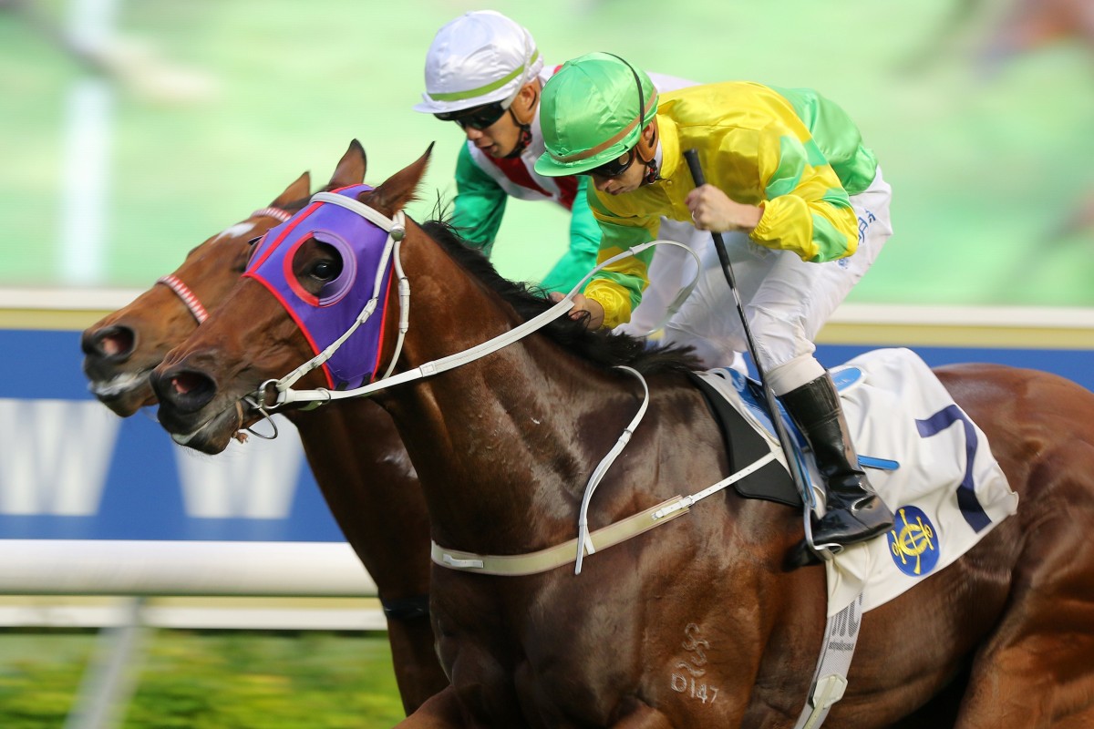 Matthew Chadwick pumps his fist after California Rad wins at Sha Tin on Sunday. Photos: Kenneth Chan