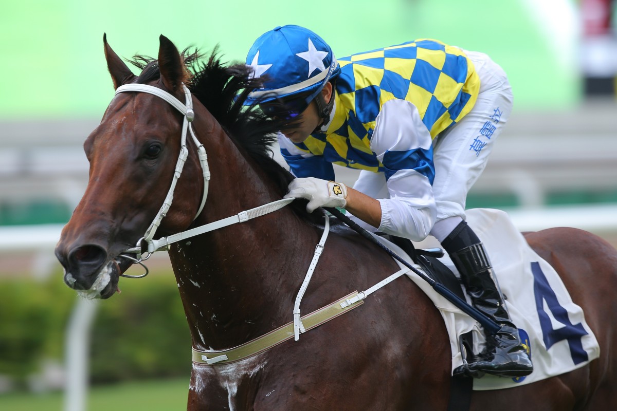 Computer Patch salutes at Sha Tin two weeks ago. Photos: Kenneth Chan