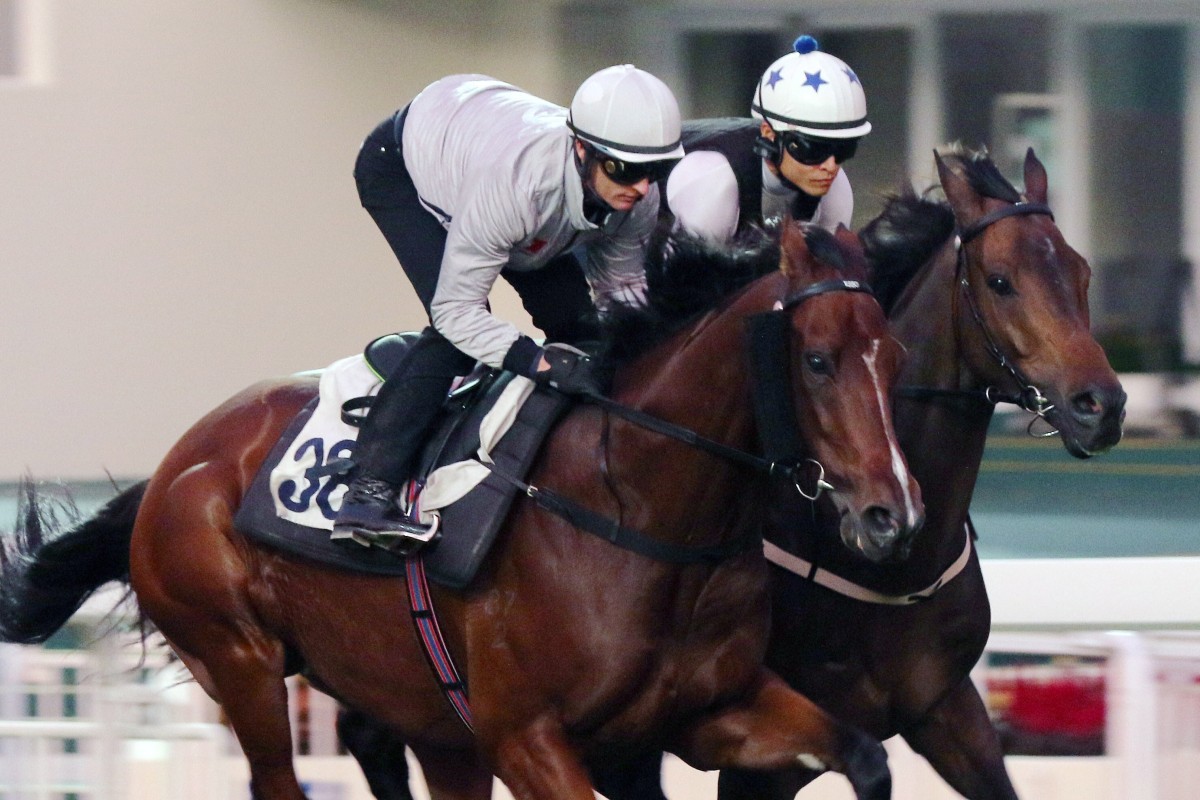 Beauty Generation (left) works with Shadow Hero at Sha Tin. Photos: Kenneth Chan