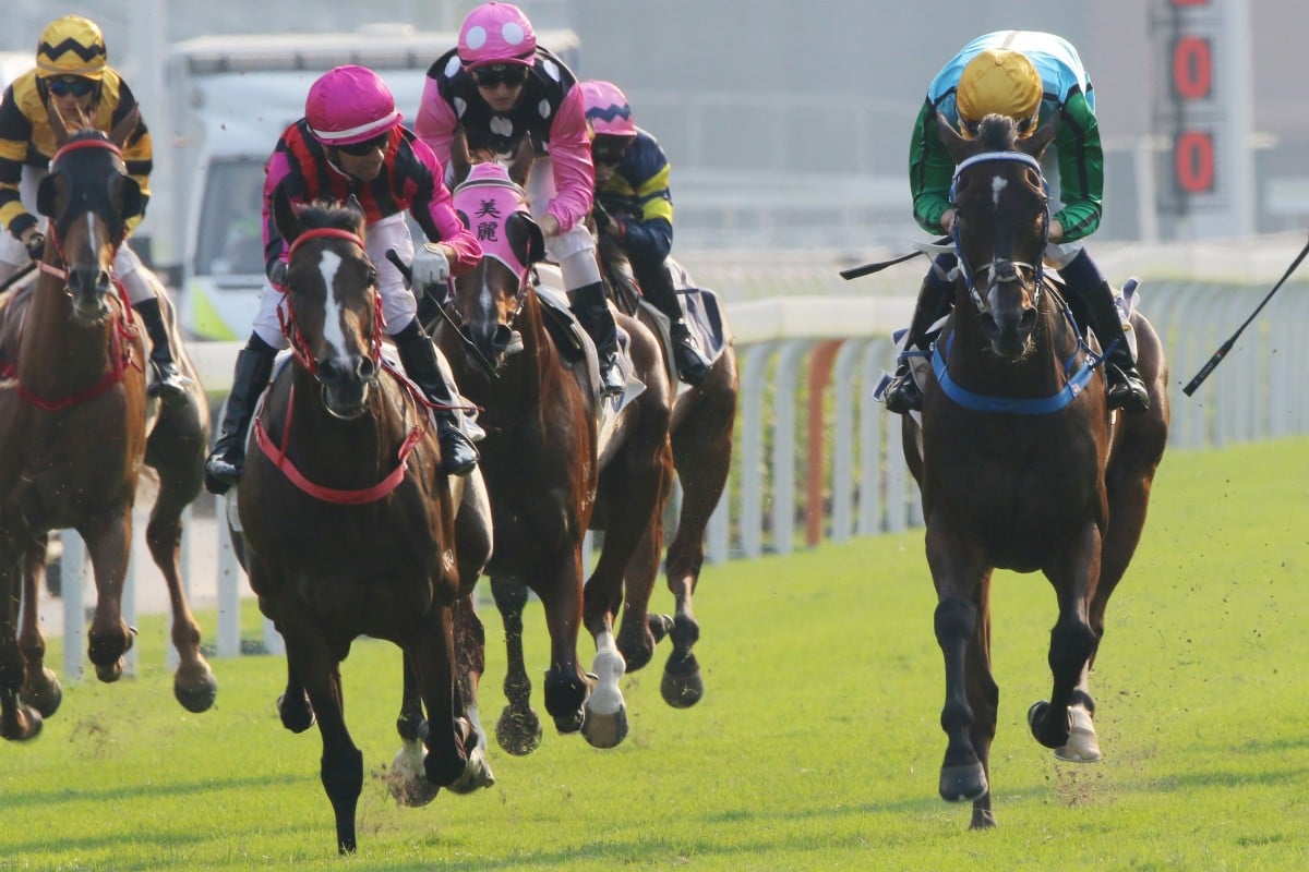 Rise High (yellow cap) upsets Beauty Generation (cap with pink and white spots) in the 2019 Oriental Watch Sha Tin Trophy. Photos: Kenneth Chan