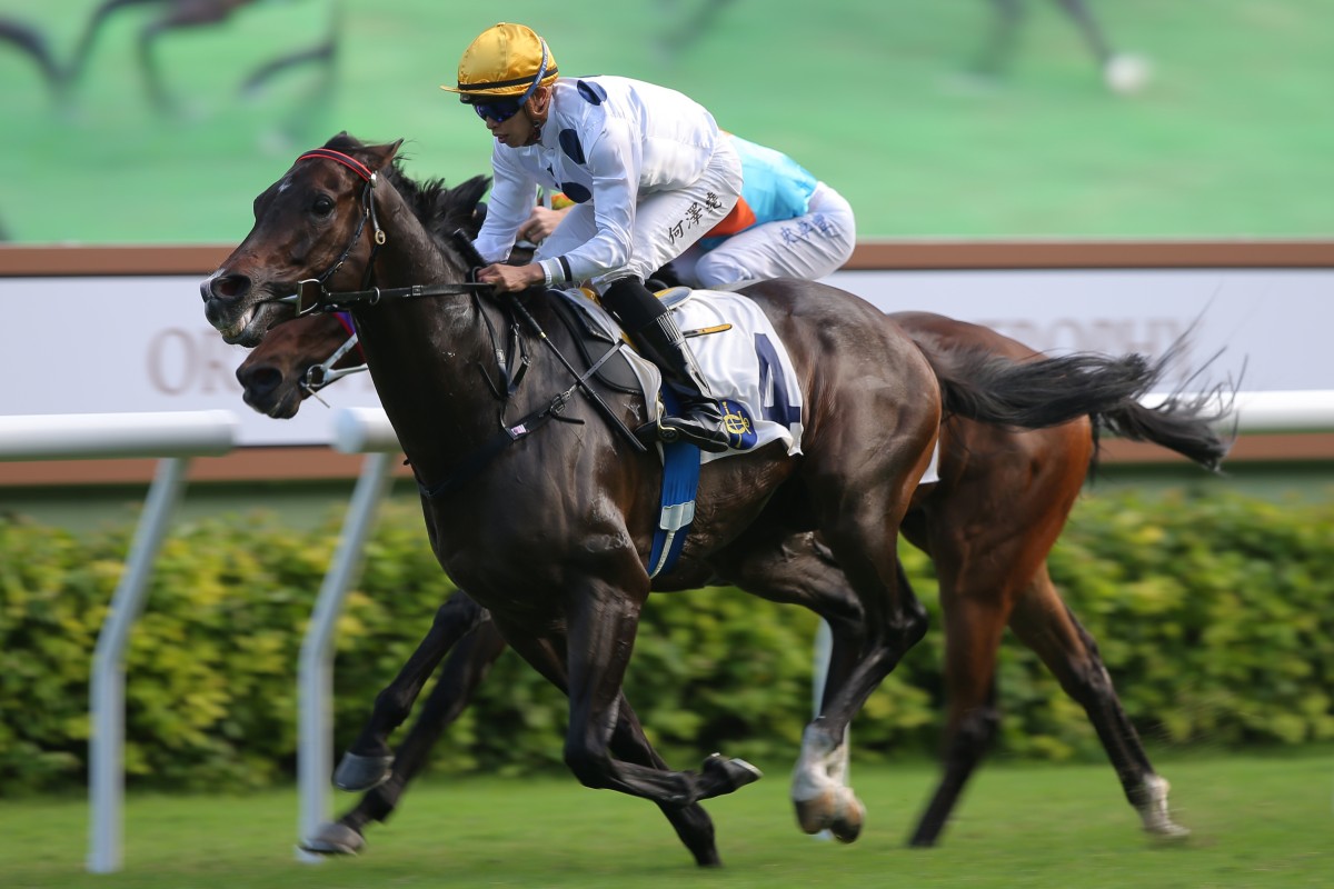 Golden Sixty salutes under Vincent Ho at Sha Tin on Sunday. Photos: Kenneth Chan