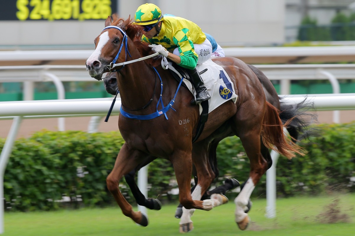 Sky Field salutes at Sha Tin earlier this month. Photos: Kenneth Chan