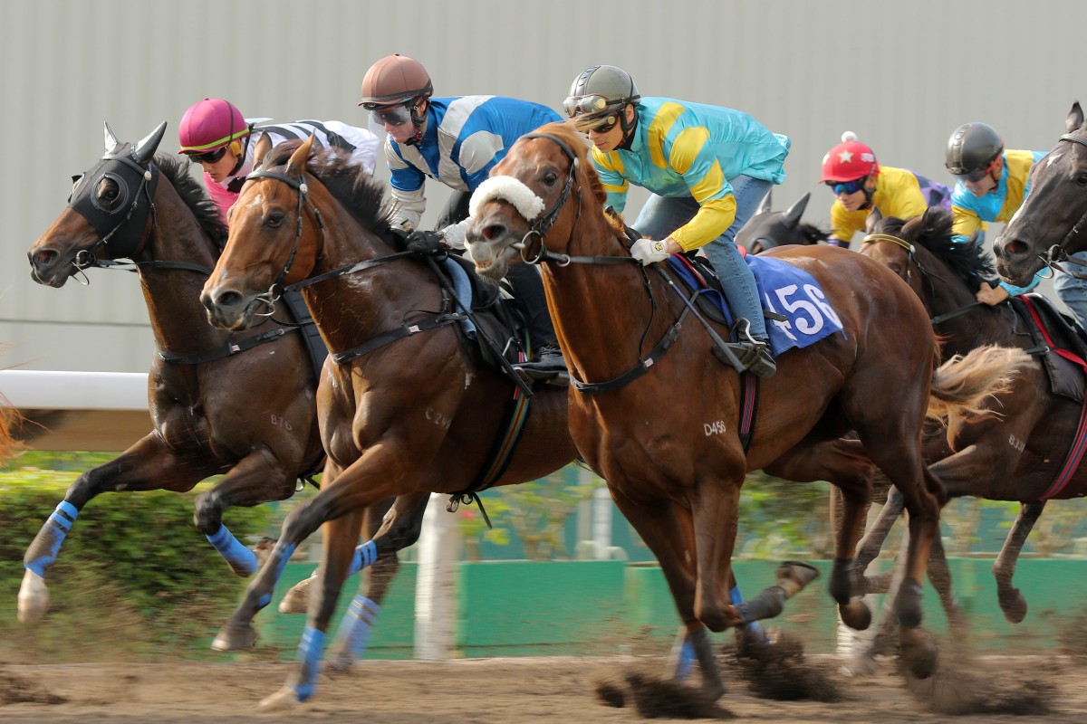 Beauty Day (left), Lobo’s Legend (middle) and Maximus (right) hit the line in a barrier trial on the all-weather track at Sha Tin. Photos: Kenneth Chan