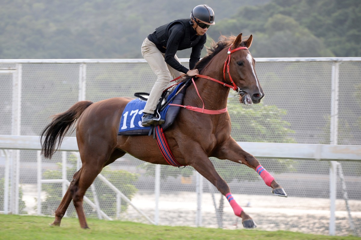 Amazing One Plus gallops under Derek Leung at Sha Tin on Monday. Photos: Kenneth Chan