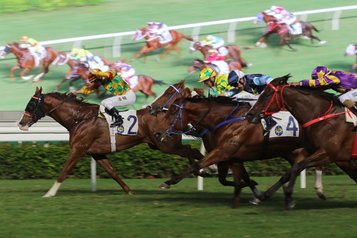 Mighty Giant beats Sky Field, Ballistic King and Lucky Express on Saturday. Photo: Kenneth Chan