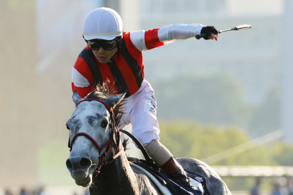 Masami Matsuoka salutes as Win Bright takes out the 2019 Hong Kong Cup. Photos: Kenneth Chan