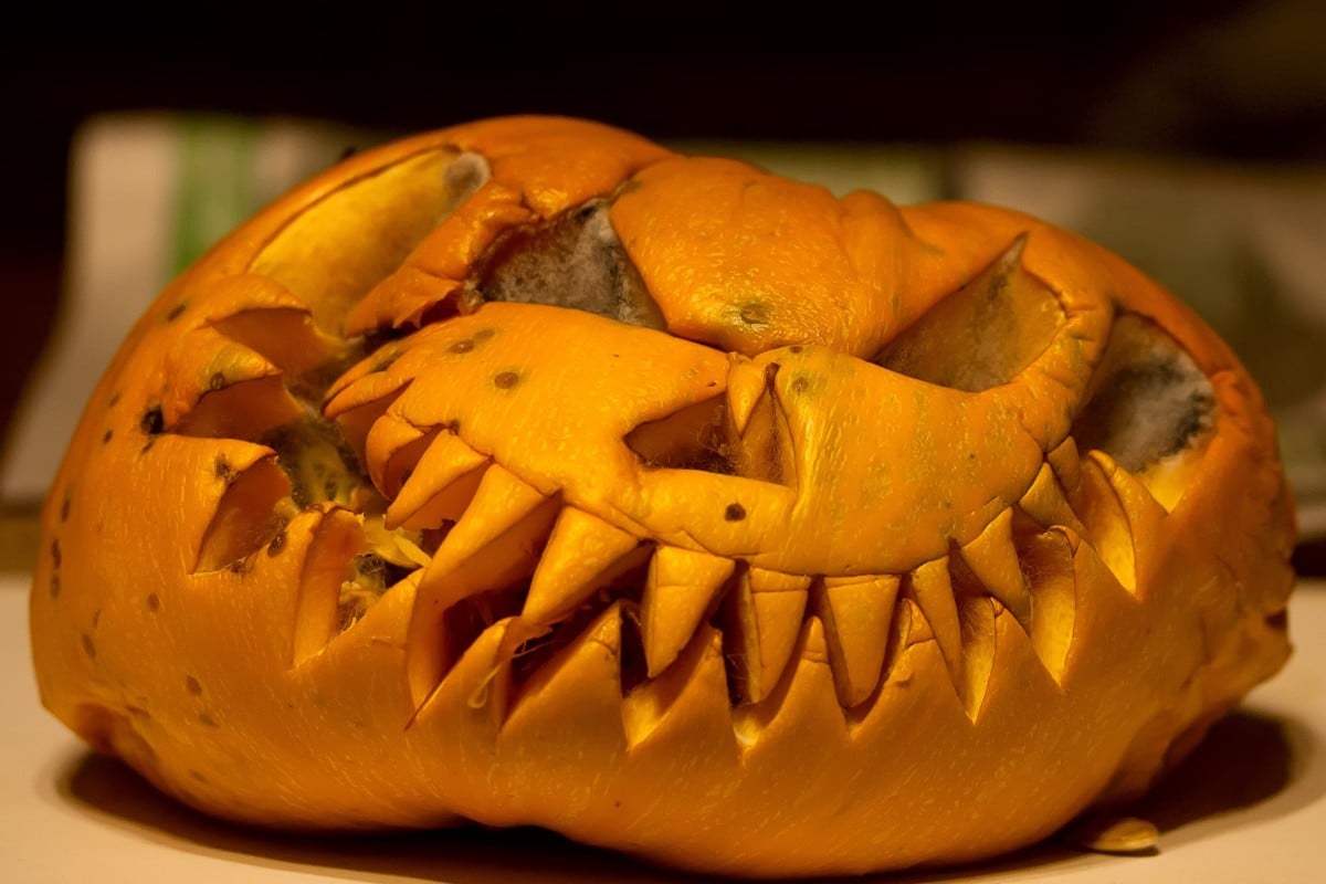 Don't let your Halloween pumpkin go to waste!
