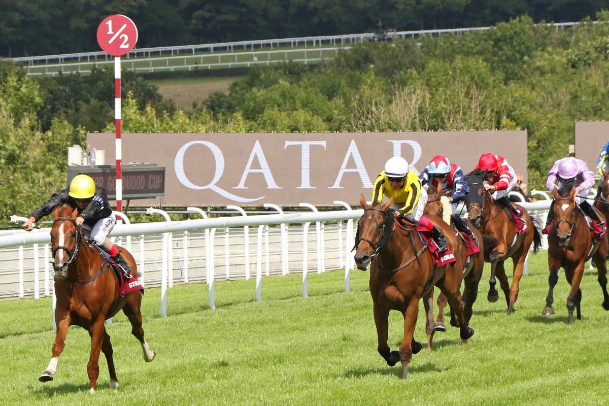 Stradivarius wins the 2017 Group One Goodwood Cup at Glorious Goodwood. Betting on the five-day festival could be in place by 2021. Photo: RACINGFOTOS.COM