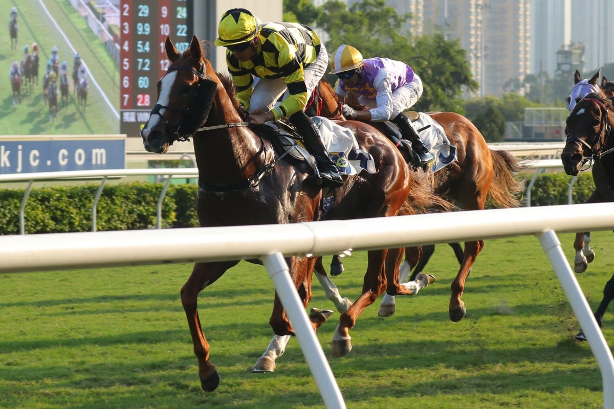 Stronger romps home at Sha Tin. Photos: Kenneth Chan