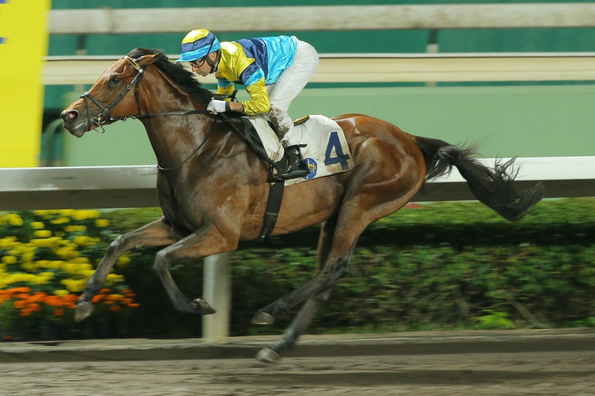 Righteous Doctrine makes it two on the trot at Sha Tin in April. Photos: Kenneth Chan