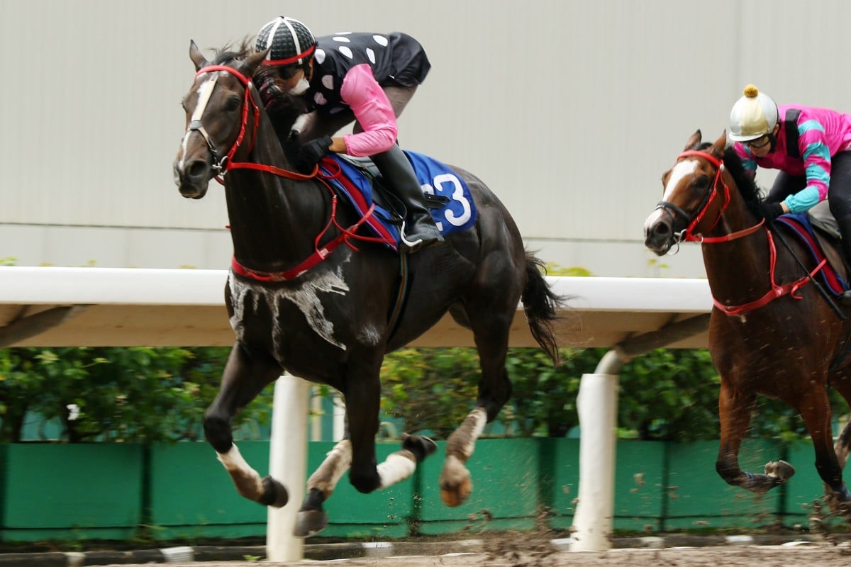 Beauty Legacy wins a trial on the all-weather track in September. Photos: Kenneth Chan