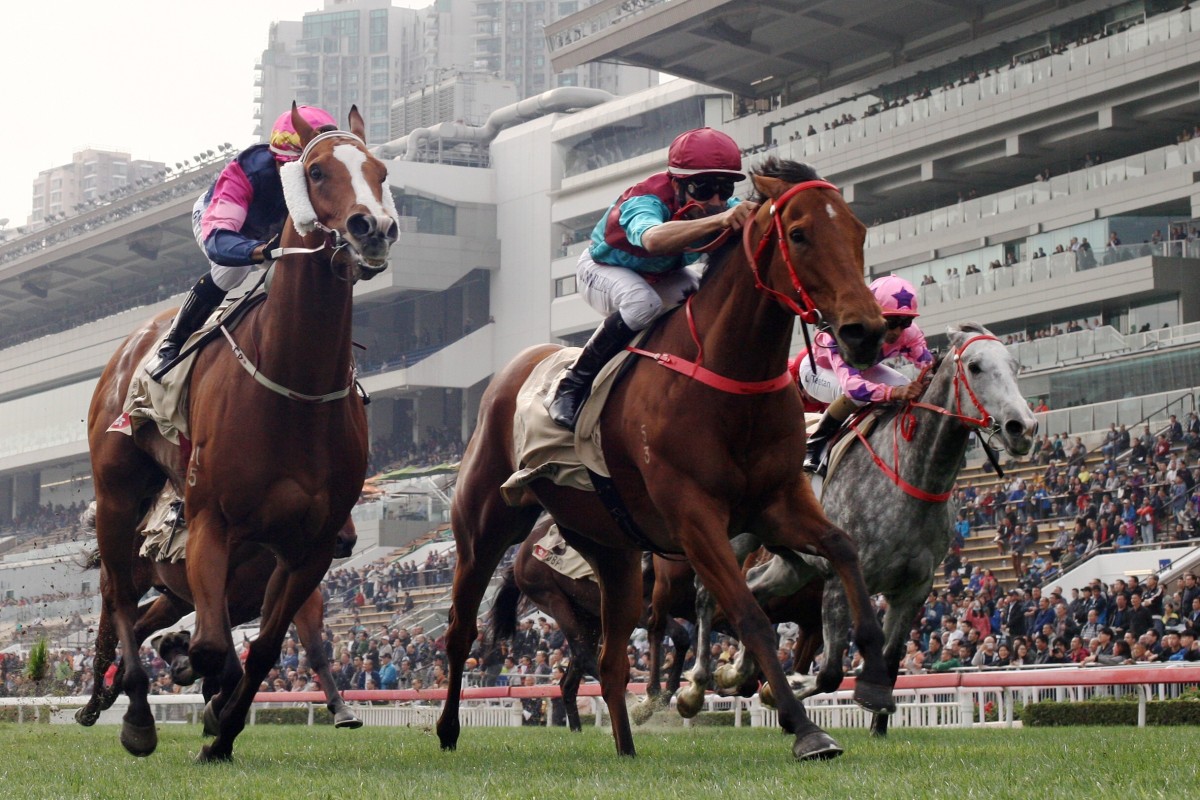 Beat The Clock (centre) goes out as a four-time Group One winner. Photos: Kenneth Chan