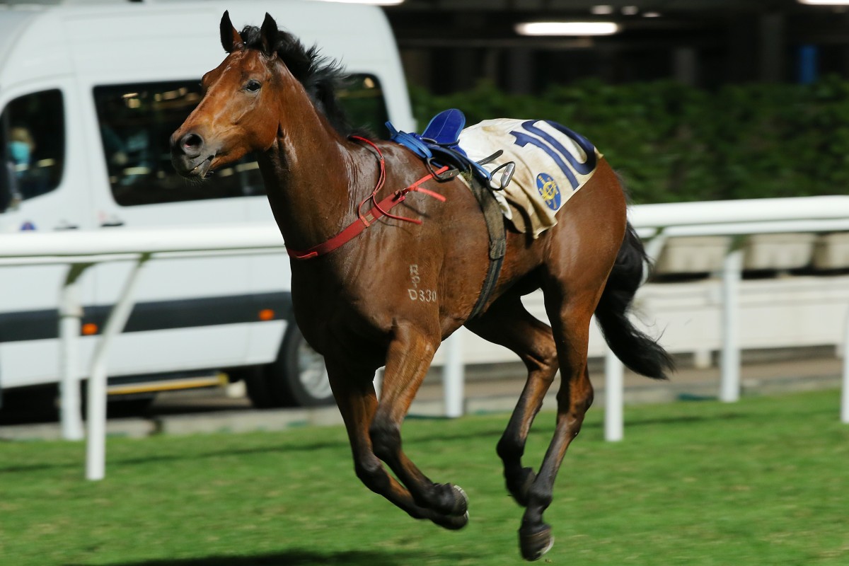 The Elites gallops riderless at Happy Valley on Wednesday night after dumping jockey Matthew Poon. Photos: Kenneth Chan