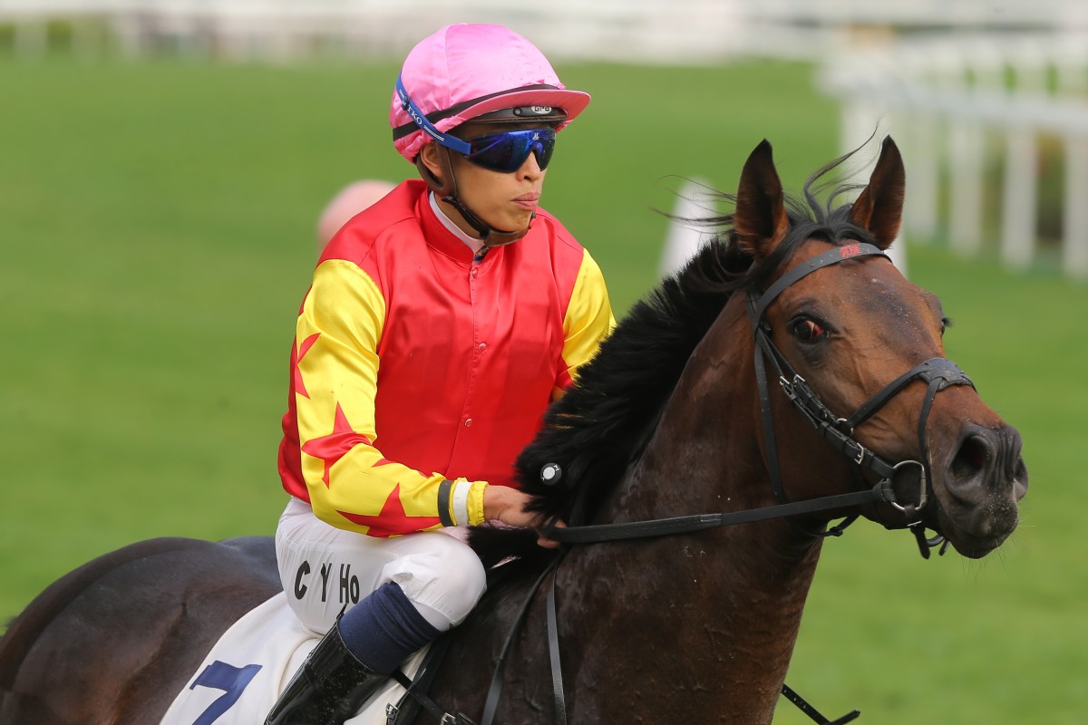 Farhh Above returns under Vincent Ho after winning his first start for Douglas Whyte last season. Photos: Kenneth Chan