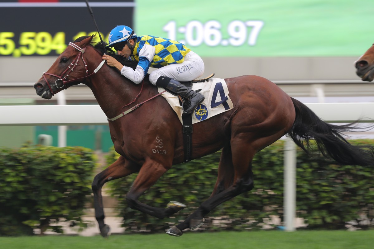 Computer Patch is looking to win at Group Two level for the first time in the Jockey Club Sprint. Photos: Kenneth Chan