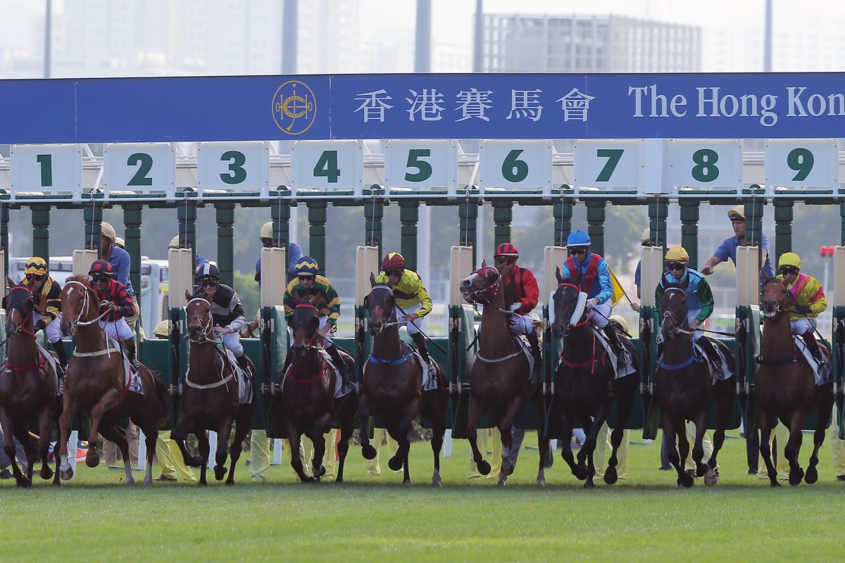 The field jumps for the 2019 Jockey Club Cup. Photos: Kenneth Chan