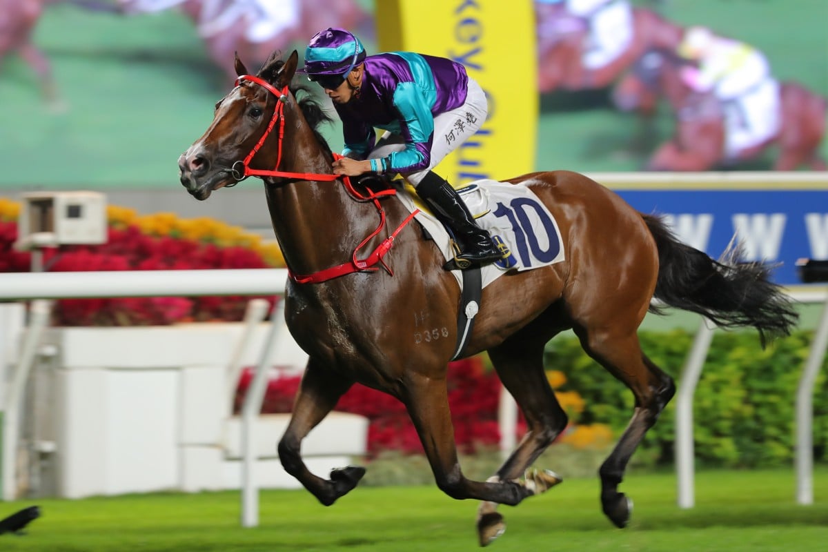 Winning Dreamer makes it five wins on the trot at Sha Tin on Sunday. Photos: Kenneth Chan