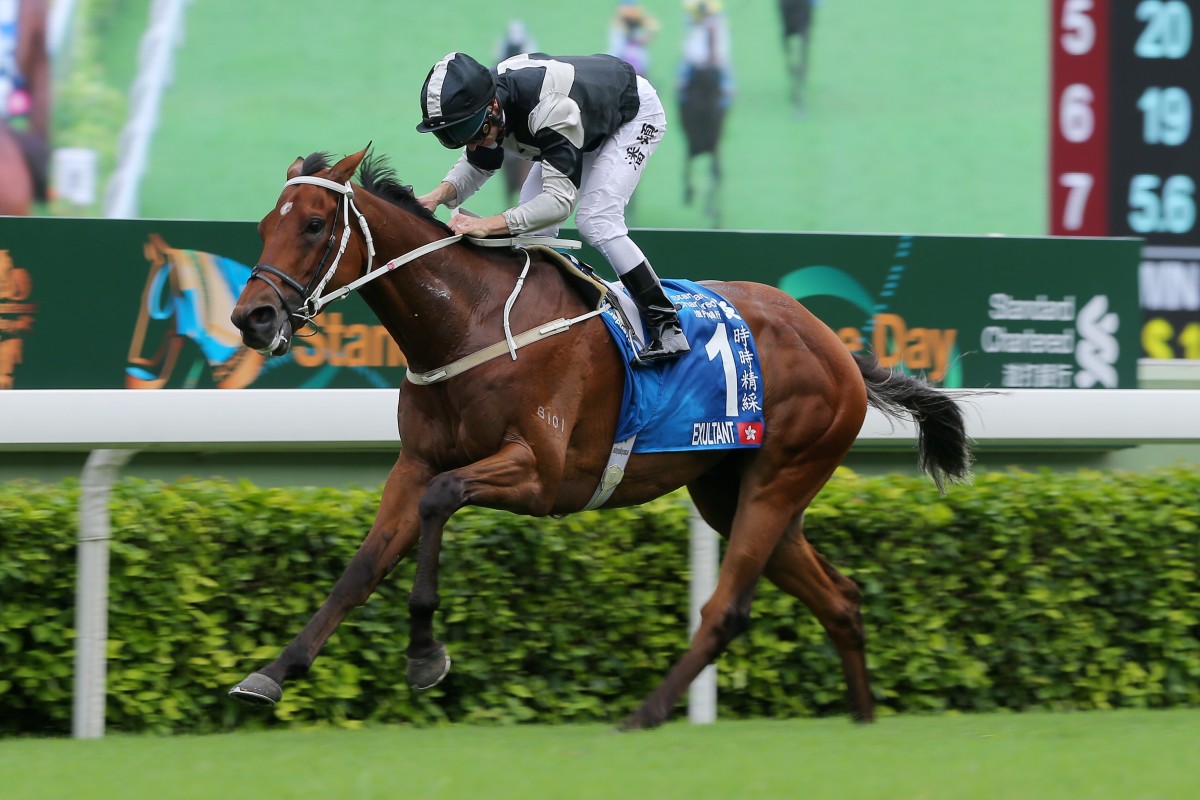 Exultant cruises to victory in the Group One Champions & Chater Cup (2,400m) at Sha Tin last season. Photos: Kenneth Chan